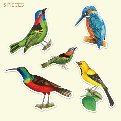 Bird Nerd Sticker Pack